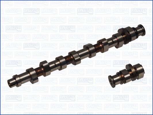 Wilmink Group WG1456701 Camshaft WG1456701: Buy near me in Poland at 2407.PL - Good price!