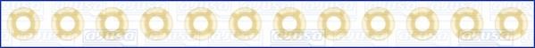 Wilmink Group WG1169912 Valve oil seals, kit WG1169912: Buy near me in Poland at 2407.PL - Good price!