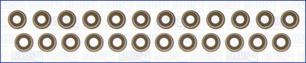 Wilmink Group WG1169978 Valve oil seals, kit WG1169978: Buy near me at 2407.PL in Poland at an Affordable price!