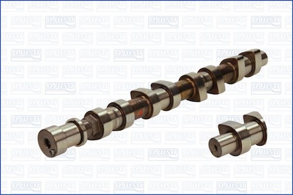 Wilmink Group WG1170865 Camshaft WG1170865: Buy near me in Poland at 2407.PL - Good price!