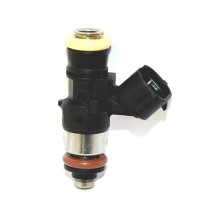 Wilmink Group WG1013755 Injector fuel WG1013755: Buy near me in Poland at 2407.PL - Good price!