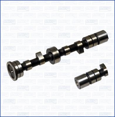 Wilmink Group WG1170960 Camshaft WG1170960: Buy near me in Poland at 2407.PL - Good price!