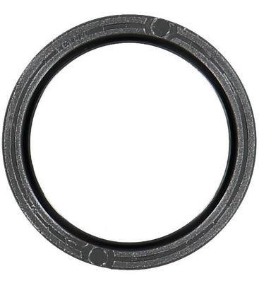 Wilmink Group WG1779283 Camshaft oil seal WG1779283: Buy near me at 2407.PL in Poland at an Affordable price!