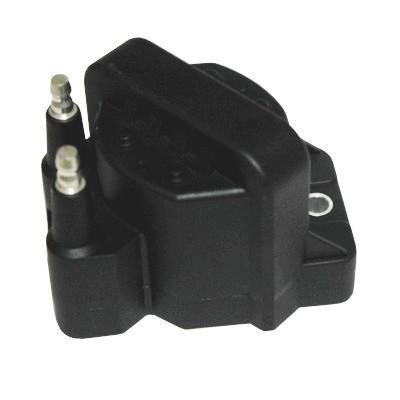 Wilmink Group WG1012509 Ignition coil WG1012509: Buy near me in Poland at 2407.PL - Good price!