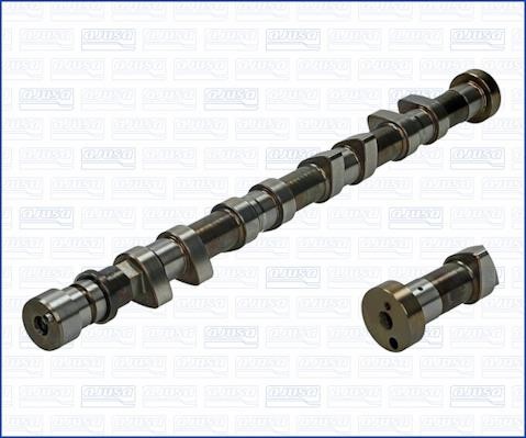 Wilmink Group WG1170904 Camshaft WG1170904: Buy near me in Poland at 2407.PL - Good price!