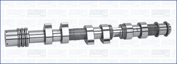 Wilmink Group WG1456763 Camshaft WG1456763: Buy near me in Poland at 2407.PL - Good price!