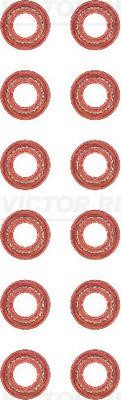 Wilmink Group WG1103077 Valve oil seals, kit WG1103077: Buy near me in Poland at 2407.PL - Good price!
