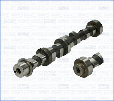 Wilmink Group WG1171347 Camshaft WG1171347: Buy near me in Poland at 2407.PL - Good price!
