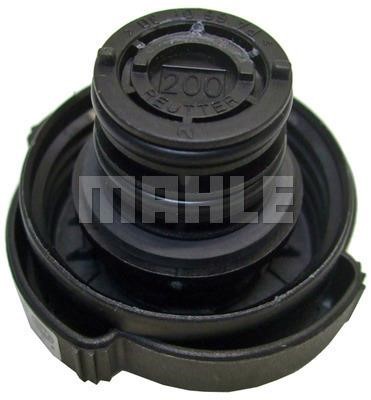 Wilmink Group WG2184229 Cap, coolant tank WG2184229: Buy near me in Poland at 2407.PL - Good price!