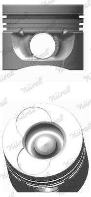 Wilmink Group WG1176079 Piston WG1176079: Buy near me in Poland at 2407.PL - Good price!