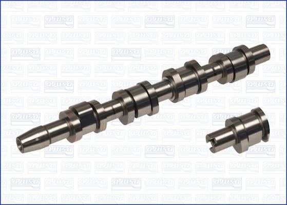 Wilmink Group WG1456707 Camshaft WG1456707: Buy near me in Poland at 2407.PL - Good price!