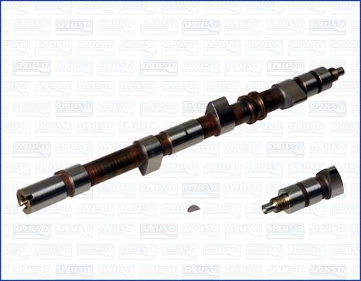 Wilmink Group WG1171287 Camshaft WG1171287: Buy near me in Poland at 2407.PL - Good price!