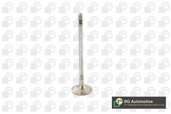 Wilmink Group WG1814496 Exhaust valve WG1814496: Buy near me in Poland at 2407.PL - Good price!