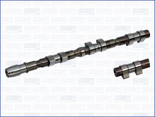 Wilmink Group WG1171308 Camshaft WG1171308: Buy near me in Poland at 2407.PL - Good price!