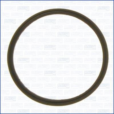 Wilmink Group WG1751390 Termostat gasket WG1751390: Buy near me in Poland at 2407.PL - Good price!