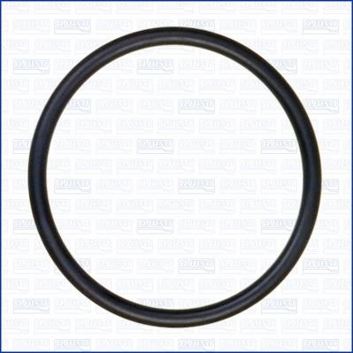 Wilmink Group WG1163666 Termostat gasket WG1163666: Buy near me in Poland at 2407.PL - Good price!