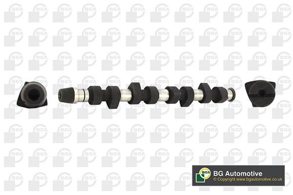 Wilmink Group WG1490381 Camshaft WG1490381: Buy near me in Poland at 2407.PL - Good price!