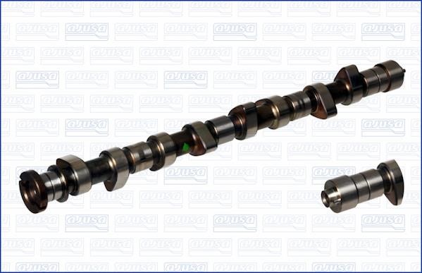 Wilmink Group WG1171250 Camshaft WG1171250: Buy near me in Poland at 2407.PL - Good price!