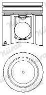 Wilmink Group WG1175171 Piston WG1175171: Buy near me in Poland at 2407.PL - Good price!