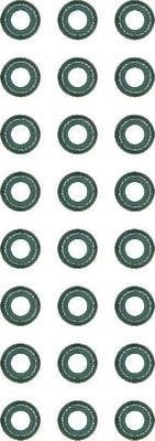 Wilmink Group WG1705340 Valve oil seals, kit WG1705340: Buy near me in Poland at 2407.PL - Good price!