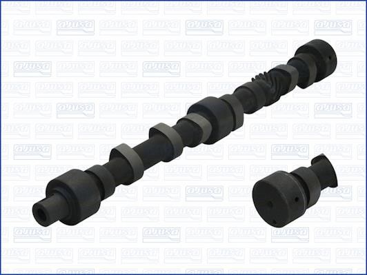 Wilmink Group WG1170905 Camshaft WG1170905: Buy near me in Poland at 2407.PL - Good price!