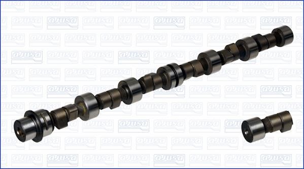 Wilmink Group WG1170941 Camshaft WG1170941: Buy near me in Poland at 2407.PL - Good price!