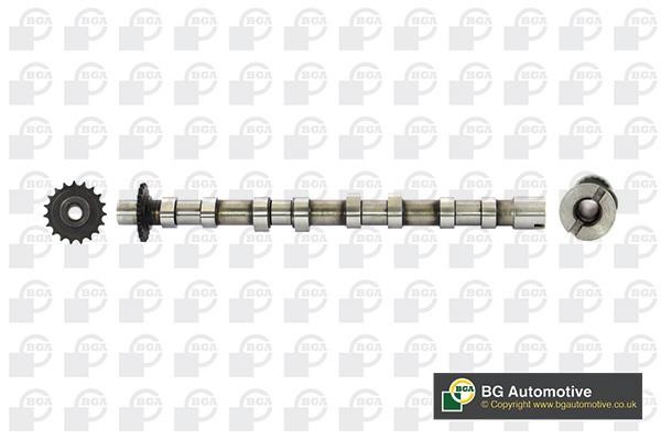 Wilmink Group WG1814309 Camshaft WG1814309: Buy near me in Poland at 2407.PL - Good price!