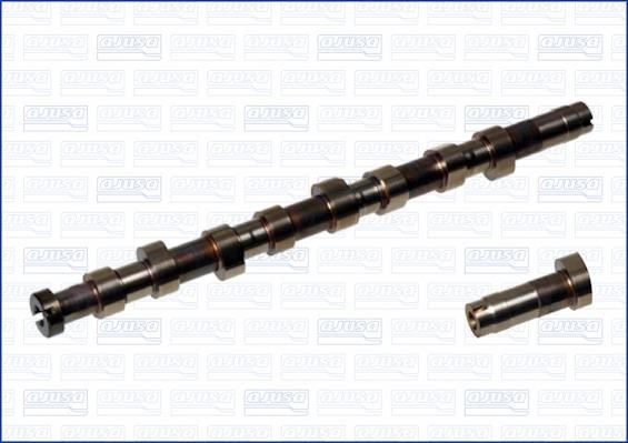 Wilmink Group WG1456318 Camshaft WG1456318: Buy near me in Poland at 2407.PL - Good price!