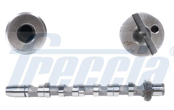 Wilmink Group WG1155338 Camshaft WG1155338: Buy near me in Poland at 2407.PL - Good price!