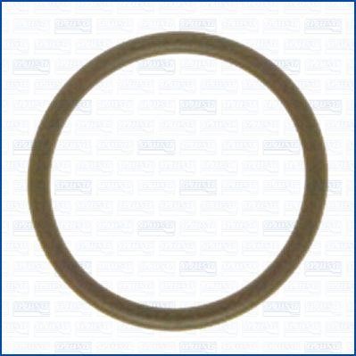 Wilmink Group WG1451815 Ring sealing WG1451815: Buy near me at 2407.PL in Poland at an Affordable price!