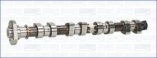 Wilmink Group WG1456806 Camshaft WG1456806: Buy near me in Poland at 2407.PL - Good price!
