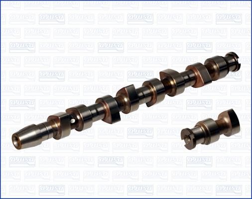 Wilmink Group WG1456704 Camshaft WG1456704: Buy near me in Poland at 2407.PL - Good price!