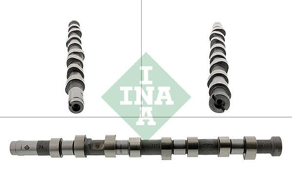 Wilmink Group WG1780283 Camshaft WG1780283: Buy near me in Poland at 2407.PL - Good price!