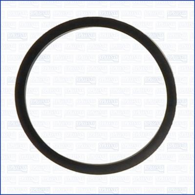 Wilmink Group WG1751097 Termostat gasket WG1751097: Buy near me in Poland at 2407.PL - Good price!