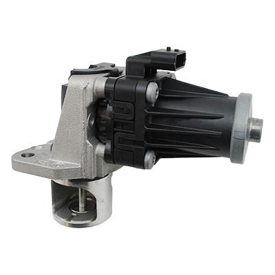 Wilmink Group WG1903844 EGR Valve WG1903844: Buy near me in Poland at 2407.PL - Good price!