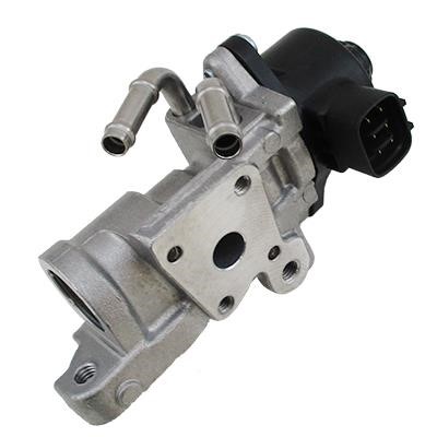 Wilmink Group WG2101043 EGR Valve WG2101043: Buy near me in Poland at 2407.PL - Good price!