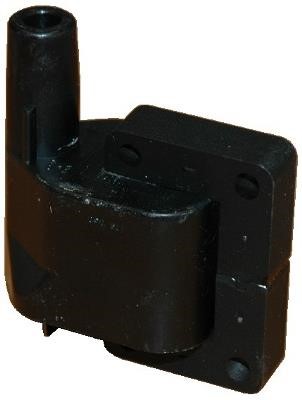 Wilmink Group WG1012219 Ignition coil WG1012219: Buy near me in Poland at 2407.PL - Good price!