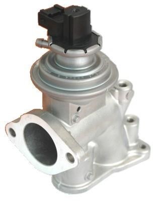 Wilmink Group WG1015264 EGR Valve WG1015264: Buy near me in Poland at 2407.PL - Good price!
