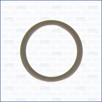 Wilmink Group WG1452022 Ring sealing WG1452022: Buy near me in Poland at 2407.PL - Good price!