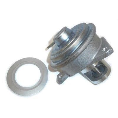 Wilmink Group WG1408763 EGR Valve WG1408763: Buy near me in Poland at 2407.PL - Good price!