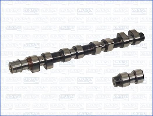 Wilmink Group WG1171341 Camshaft WG1171341: Buy near me in Poland at 2407.PL - Good price!