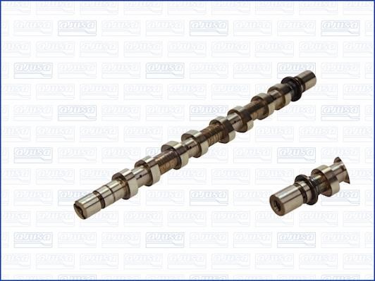 Wilmink Group WG1456576 Camshaft WG1456576: Buy near me in Poland at 2407.PL - Good price!
