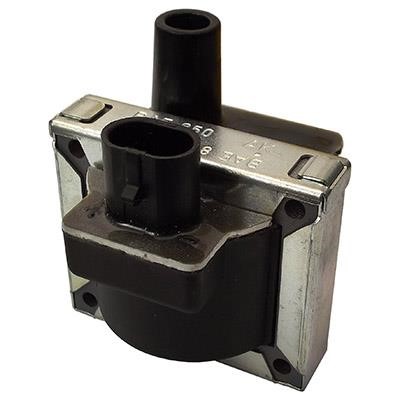 Wilmink Group WG1012507 Ignition coil WG1012507: Buy near me in Poland at 2407.PL - Good price!