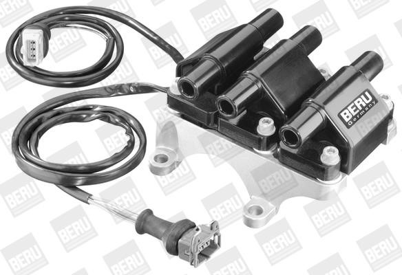 Wilmink Group WG1487530 Ignition coil WG1487530: Buy near me in Poland at 2407.PL - Good price!