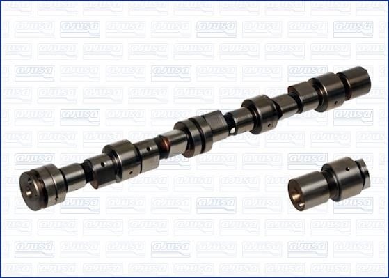 Wilmink Group WG1170838 Camshaft WG1170838: Buy near me in Poland at 2407.PL - Good price!