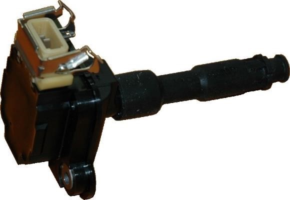 Wilmink Group WG1012173 Ignition coil WG1012173: Buy near me in Poland at 2407.PL - Good price!