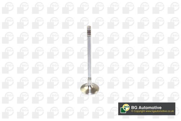 Wilmink Group WG1491410 Intake valve WG1491410: Buy near me at 2407.PL in Poland at an Affordable price!