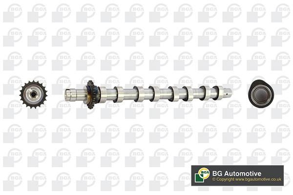 Wilmink Group WG1490538 Camshaft WG1490538: Buy near me in Poland at 2407.PL - Good price!
