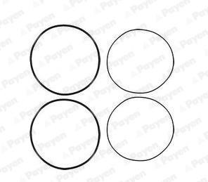 Wilmink Group WG1460714 O-rings for cylinder liners, kit WG1460714: Buy near me in Poland at 2407.PL - Good price!