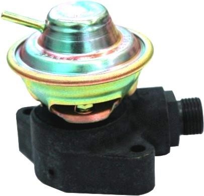 Wilmink Group WG1015306 EGR Valve WG1015306: Buy near me in Poland at 2407.PL - Good price!
